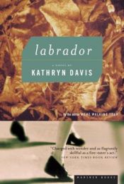 book cover of Labrador by Kathryn Davis
