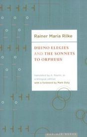 book cover of De elegieën van Duino & De sonnetten aan Orpheus by Rainer Maria Rilke