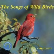 book cover of Songs of Wild Birds by Lang Elliott
