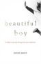 Beautiful Boy: A Father's Journey Through His Son's Meth Addiction