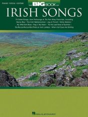 book cover of Big Book of Irish Songs (Big Book (Hal Leonard)) by Hal Leonard Corporation