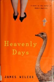 book cover of Heavenly days by James Wilcox