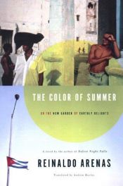 book cover of El Color del Verano by Reinaldo Arenas