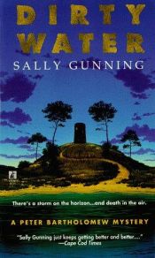 book cover of Dirty Water by Sally Gunning
