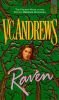 Raven (Orphans), Paperback