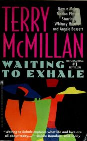 book cover of Esperando Un Respiro by Terry McMillan