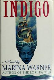 book cover of Indigo, or, Mapping the waters by Marina Warner