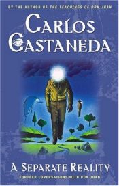 book cover of Oddělená skutečnost by Carlos Castaneda