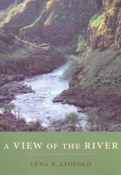 book cover of A view of the river by Luna Bergere Leopold