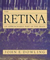 book cover of The Retina: An Approachable Part of the Brain (Belknap Press) by John E. Dowling