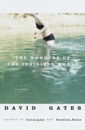 book cover of The Wonders of the Invisible World by David Gates