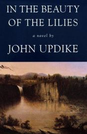 book cover of In the Beauty of the Lilies by John Hoyer Updike