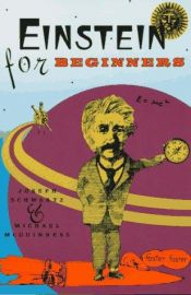 book cover of Einstein for Beginners by Albertas Einšteinas