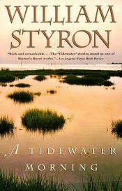 book cover of En morgon i Tidewater : tre berättelser från ungdomen by William Styron