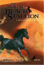 book cover of Black Stallion #21-1989 - Title: The Young Black Stallion by Walter Farley