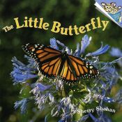 book cover of The Little Butterfly (Pictureback(R)) by Sherry Shahan