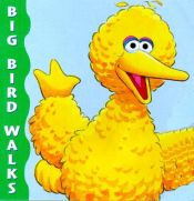 book cover of Big Bird Walks (A Chunky Book(R)) by Stephanie Pierre