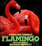 book cover of Flamingo by Caroline Arnold