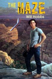 book cover of The Maze by Will Hobbs