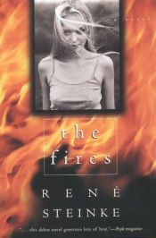 book cover of The Fires by Rene Steinke