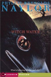 book cover of Witch Water by Phyllis Reynolds Naylor
