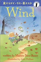book cover of Wind by Marion Dane Bauer