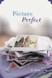 book cover of Picture Perfect by D. Anne Love