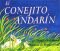 El Conejito Andarin (The Runaway Bunny, Spanish Language Edition)(book & cassette)