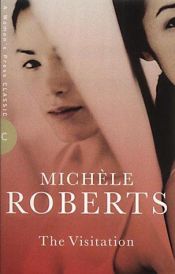 book cover of The Visitation by Michele Roberts