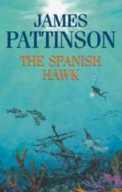 book cover of The Spanish Hawk by James Pattinson