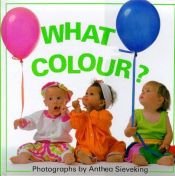 book cover of What Color by Anthea Sieveking