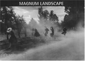 book cover of Magnum Landscape by Ian Jeffrey