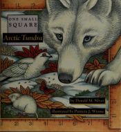 book cover of One Small Square: Arctic Tundra by Donald Silver