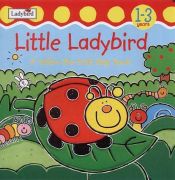 book cover of Little Ladybird (Touch & Trace) by Moira Butterfield