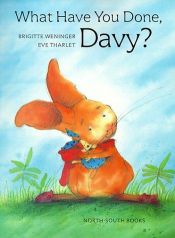 book cover of What Have You Done, Davy by B. Weninger