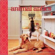 book cover of Animal Antics: A Photo Expose by John Lund