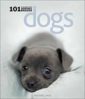 book cover of Dogs: 101 Adorable Breeds by Rachael Hale