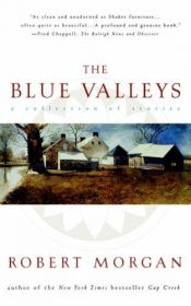 book cover of The blue valleys by Robert Morgan