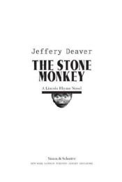book cover of De stenen aap by Jeffery Deaver