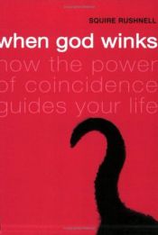 book cover of When God Winks by SQuire Rushnell