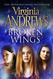 book cover of Broken Wings Display by Βιρτζίνια Άντριους