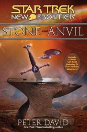 book cover of Stone And Anvil by Питър Дейвид