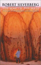 book cover of Der Mann im Labyrinth by Robert Silverberg