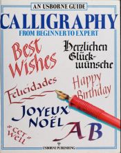 book cover of An Usborne Guide Calligraphy: From Beginner to Expert (Usborne Practical Guides) by Cheryl Evans