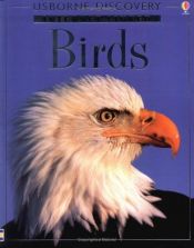 book cover of Birds by Gillian Doherty