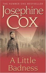 book cover of A little badness by Josephine Cox