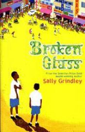 book cover of Broken Glass by Sally Grindley