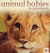 book cover of Animal Babies in Grasslands (Animal Babies) by Houghton Mifflin Company