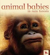 book cover of Animal Babies in Rain Forests (Animal Babies) by Editors of Kingfisher