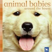 book cover of Animal babies around the house by Editors of Kingfisher